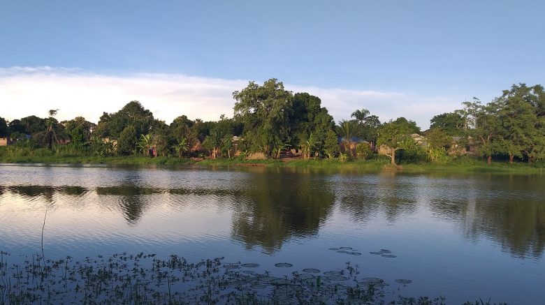 20190511_184006-780x437-2