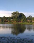 20190511_184006-780x437-2